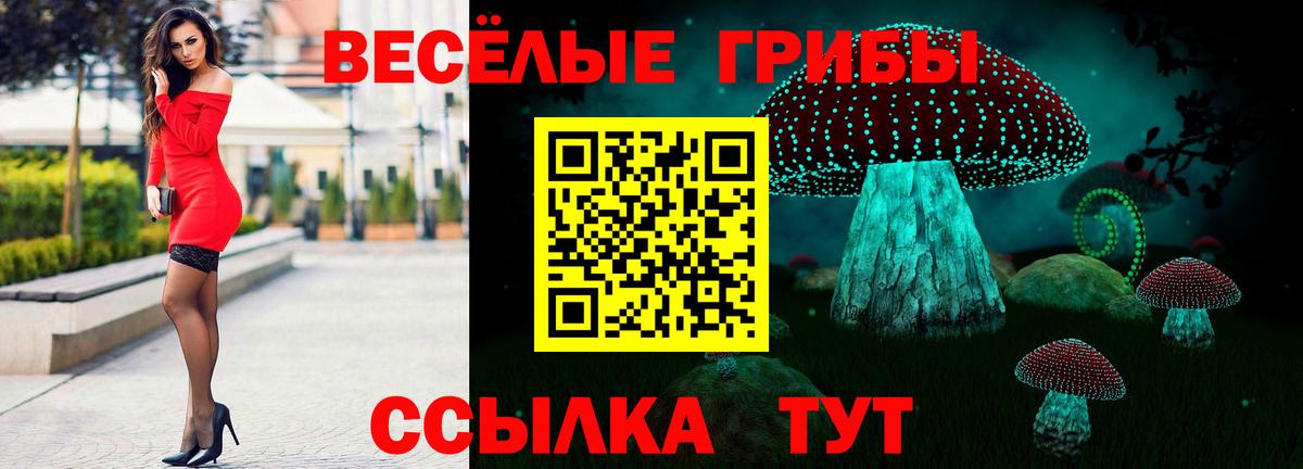 Сокол  Псилоцибиновые грибы Magic Shrooms  Псилоцибиновые грибы Psilocybe  Вход с VPN 