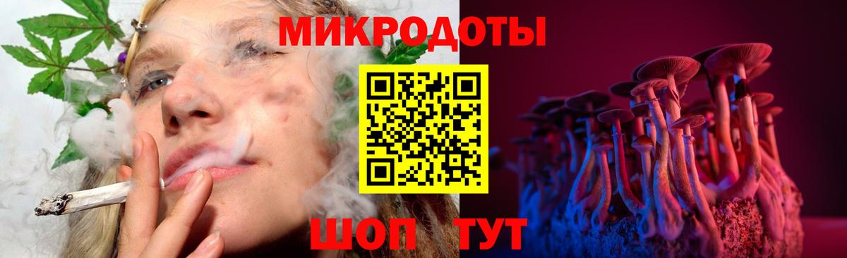 Галлюциногенные грибы Psilocybine cubensis Сокол